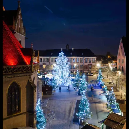 Vivez L'alsace! Piscine, Montagne&noel Magique *