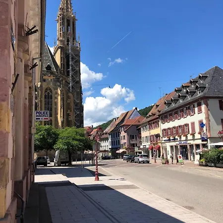 Dom wakacyjny Vivez L'alsace! Piscine, Montagne&noel Magique *